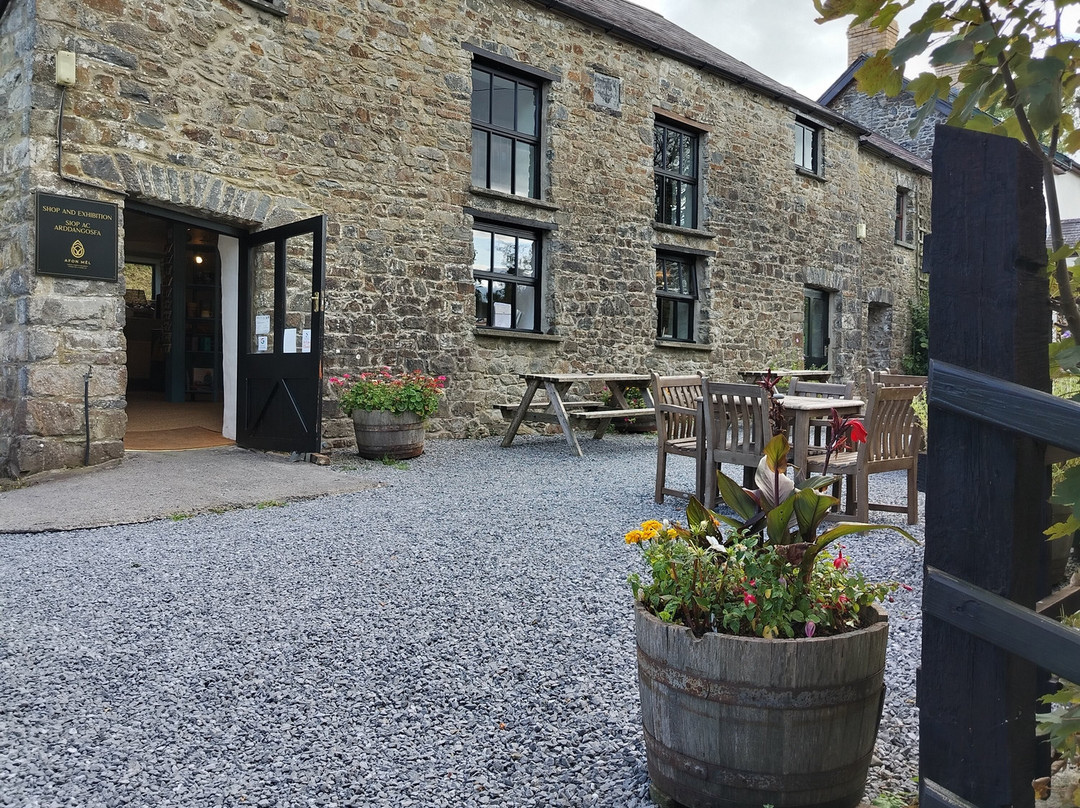 New Quay Honey Farm-Cross Inn必去景点