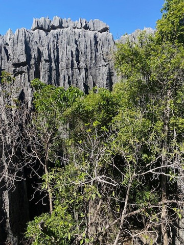 Tahina Aventuriers Madagascar-安塔那那利佛必去景点