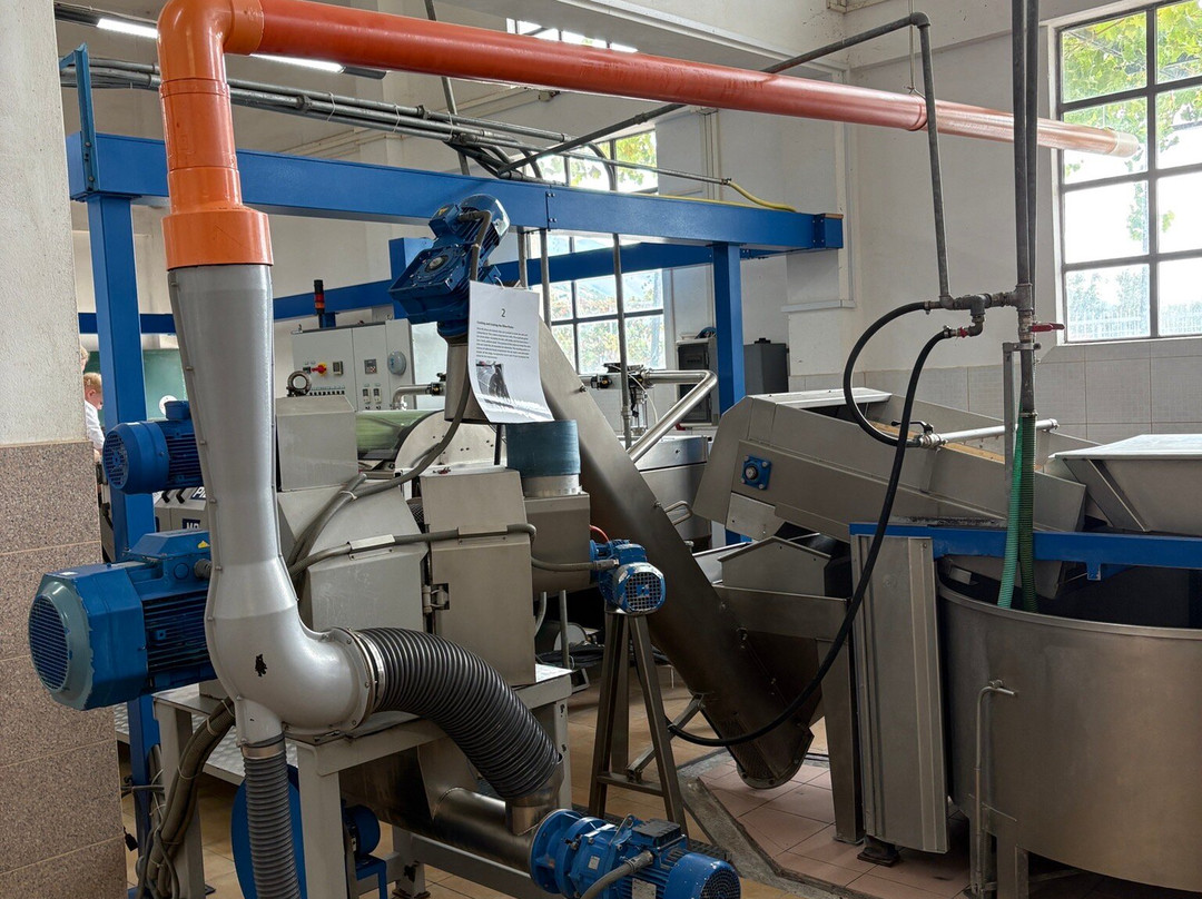 Gjikondi Olive Oil Factory-Qeparo必去景点