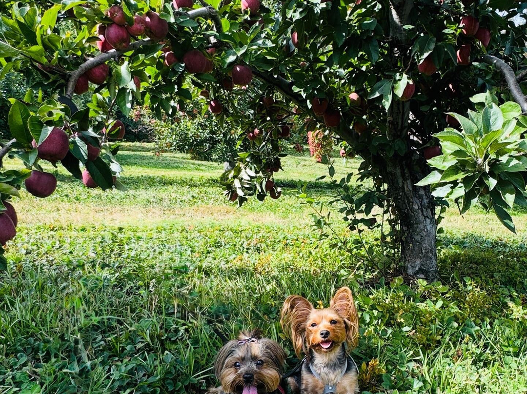 Wright's Farm and Fruit Stand-Gardiner必去景点