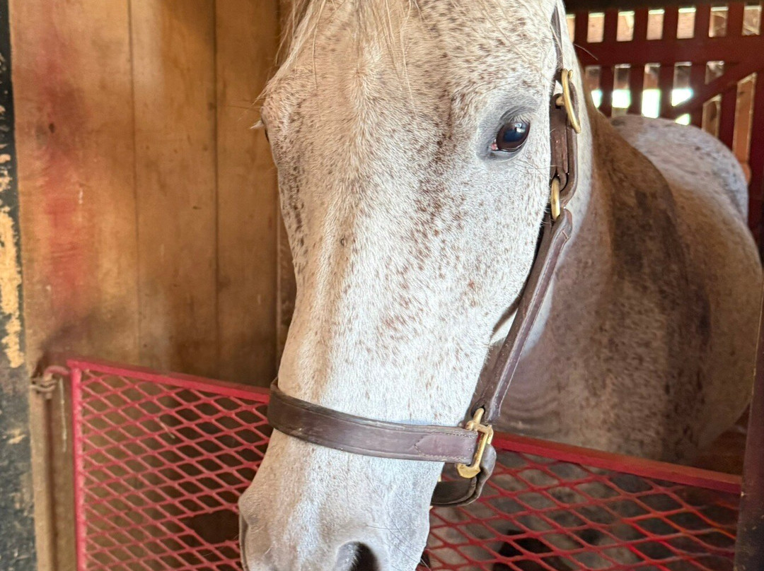 Hermitage Farm-Goshen必去景点
