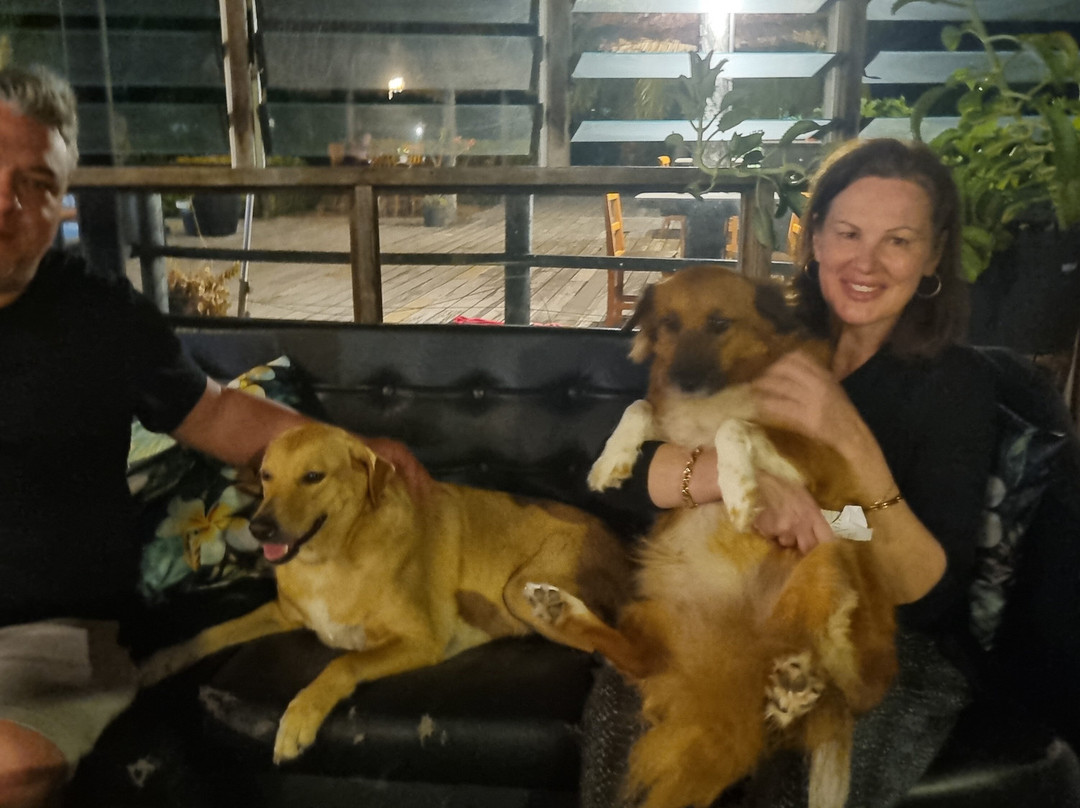 Golden Point Resort主图