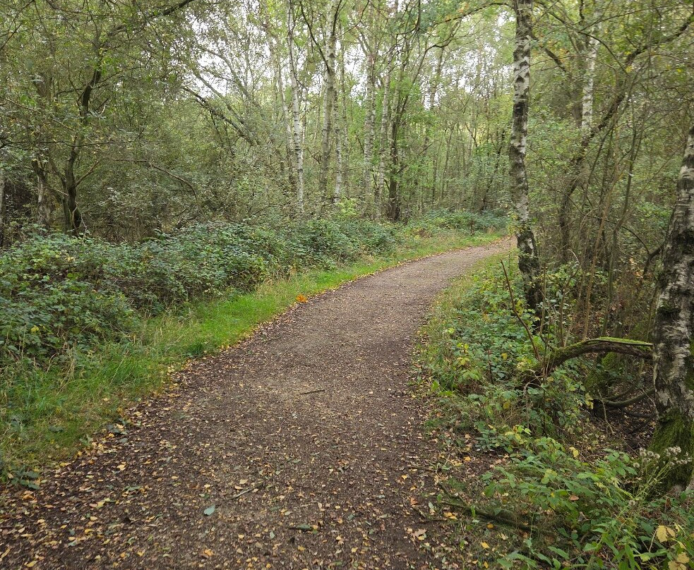 Whisby Nature Park-林肯必去景点