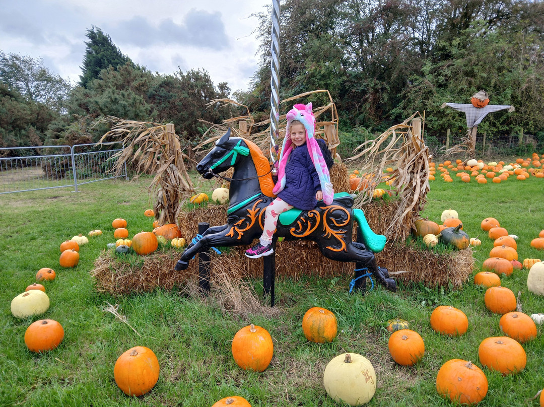 Robin Hoods Wheelgate Park-Farnsfield必去景点