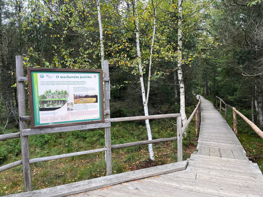 The nature trail. Rejvíz - Mechová jezírka-Zlate Hory必去景点