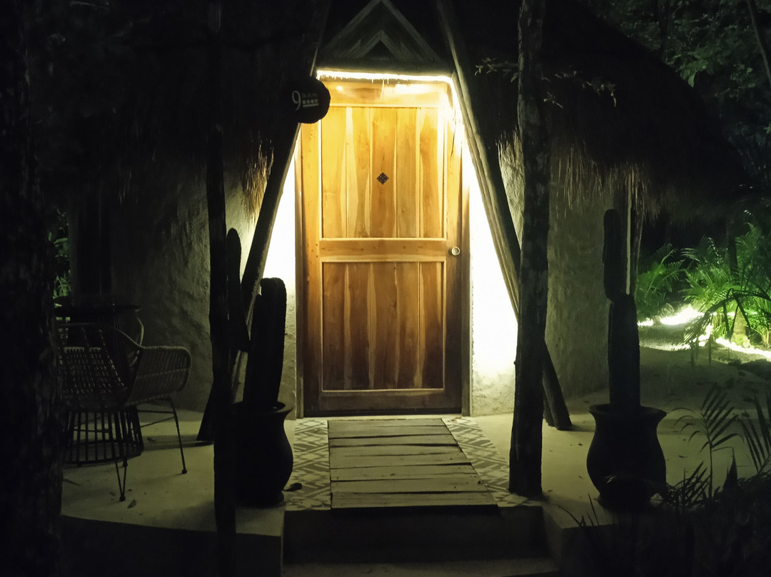 The Yellow Nest主图