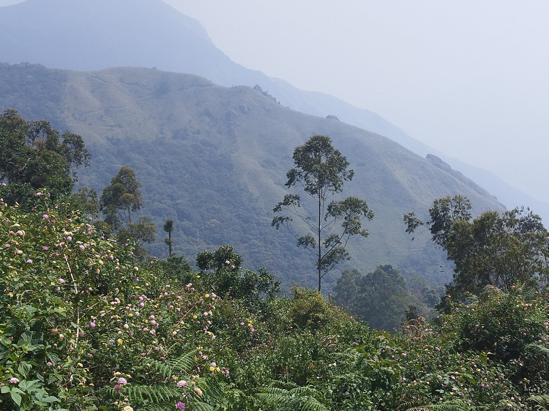 Top Station-慕那尔必去景点