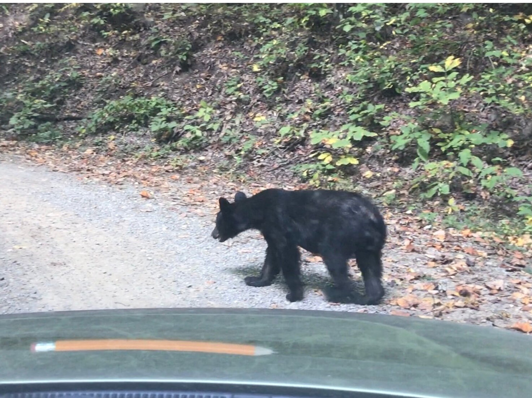 Cades Cove Visitor Center-大雾山国家公园必去景点