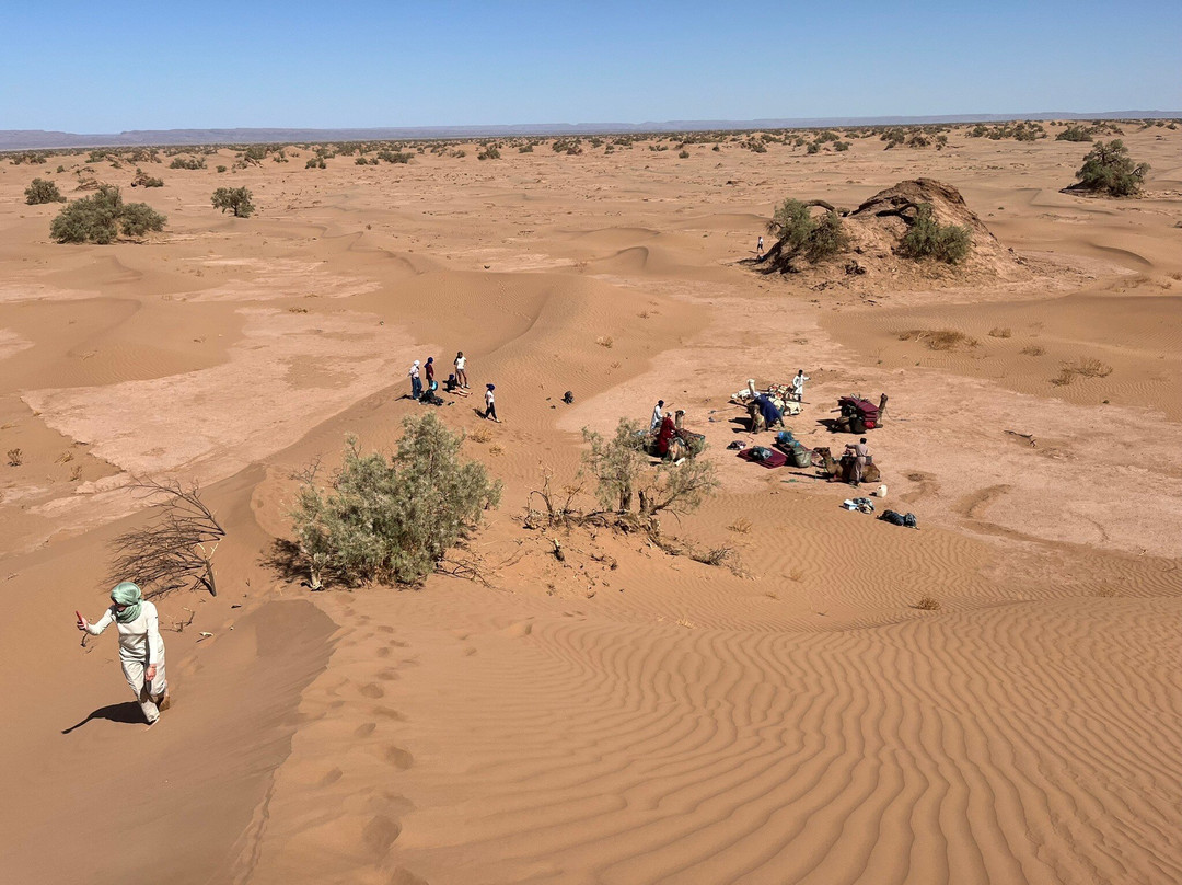 Mélodie du désert-迈哈米德必去景点