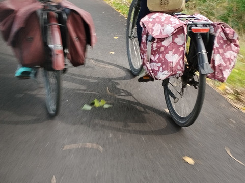 Hotel Du Commerce主图