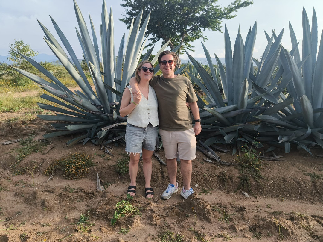 Viajeros del Mezcal Experiences-Miahuatlan必去景点