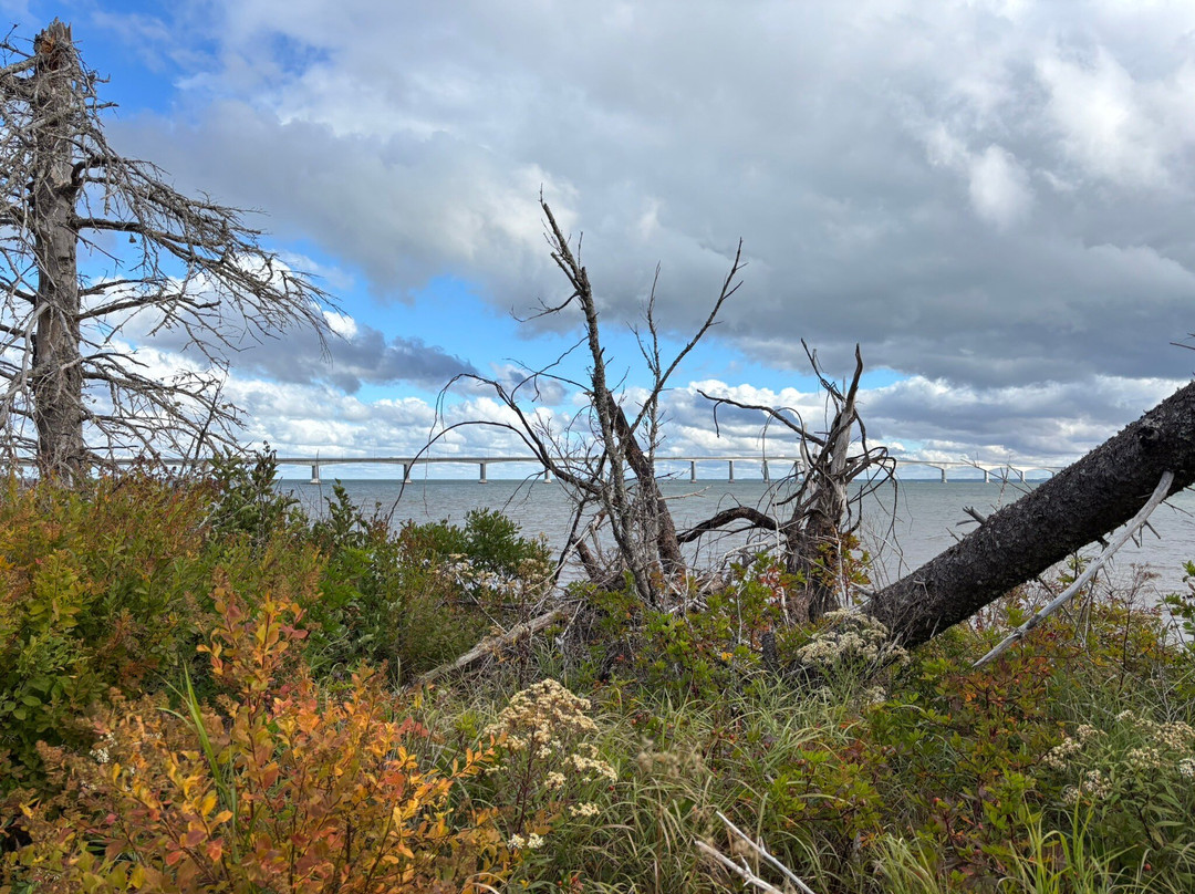 Cape Jourimain Nature Centre-Bayfield必去景点