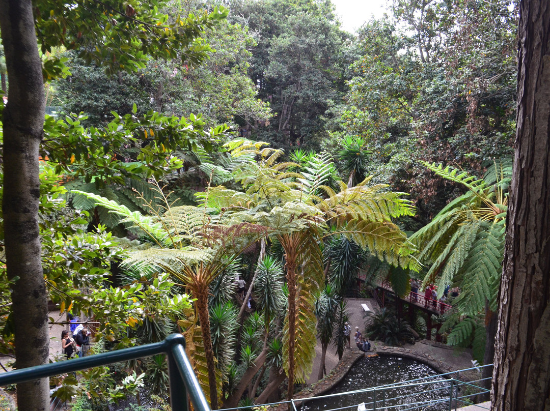 Botanical Garden Cable Car-沙尔必去景点