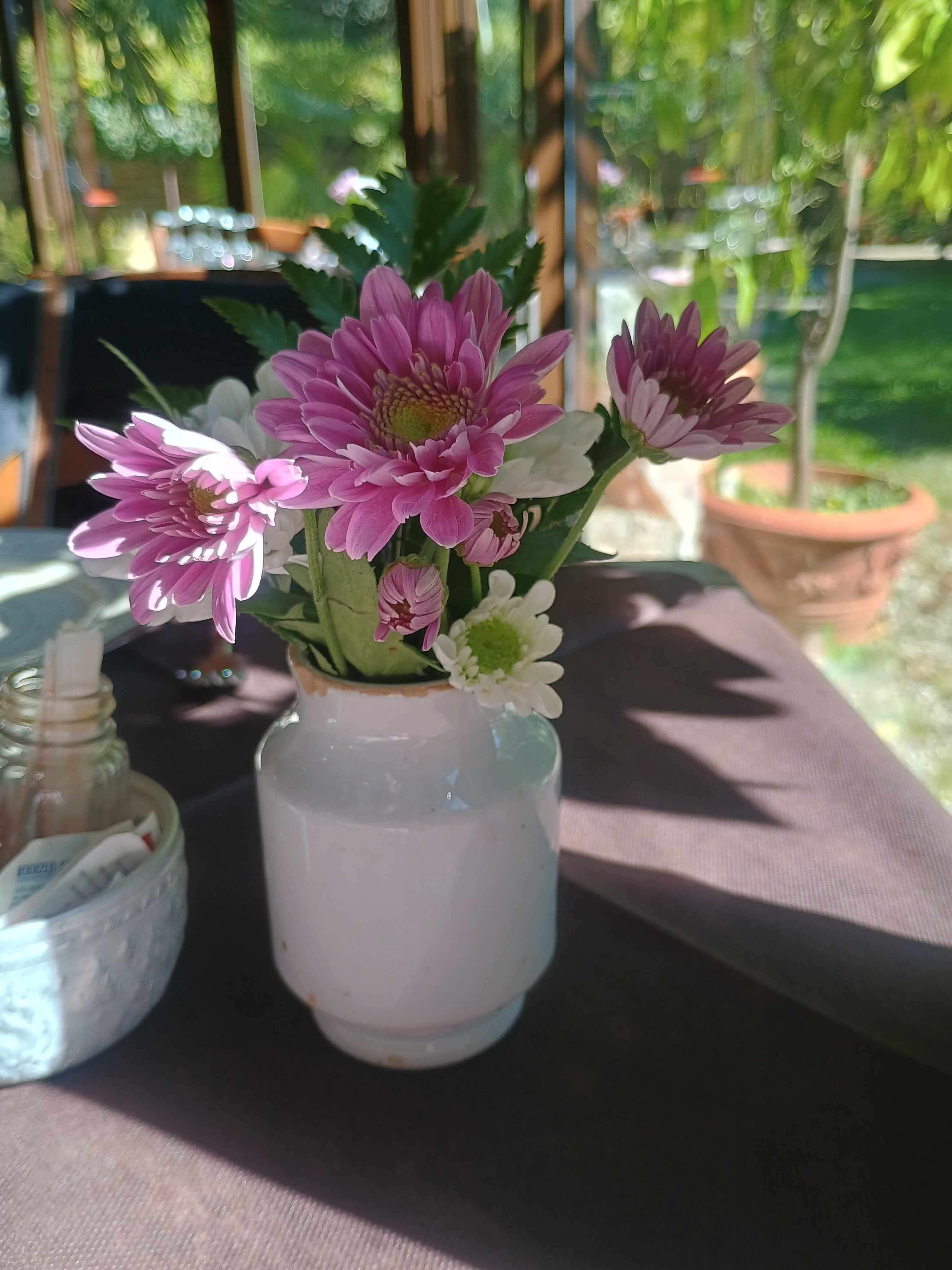 Agriturismo Le Camelie-官方