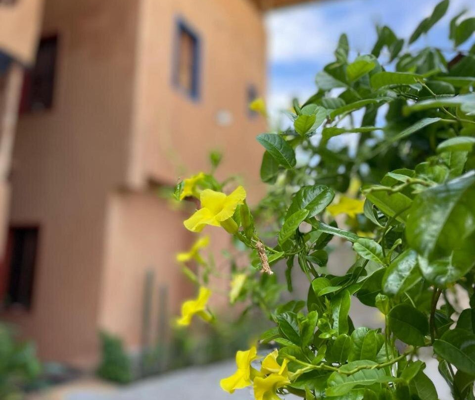 Casa Valhalla Choroni