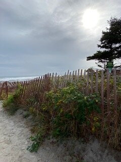 Higgins Beach-斯卡伯勒必去景点