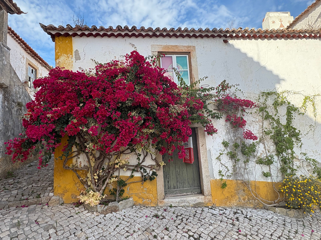 Portugal Nature Trails-辛特拉必去景点