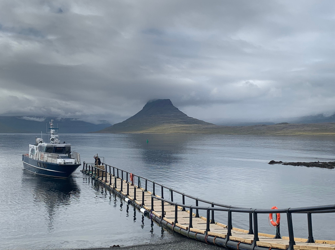 Vigur Island-伊萨菲厄泽必去景点