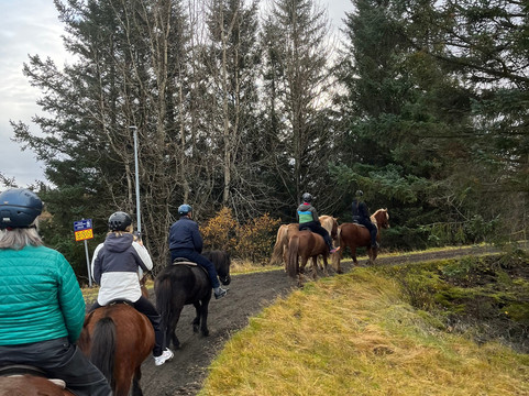 Ishestar Horse Riding Tours-雷克雅未克必去景点