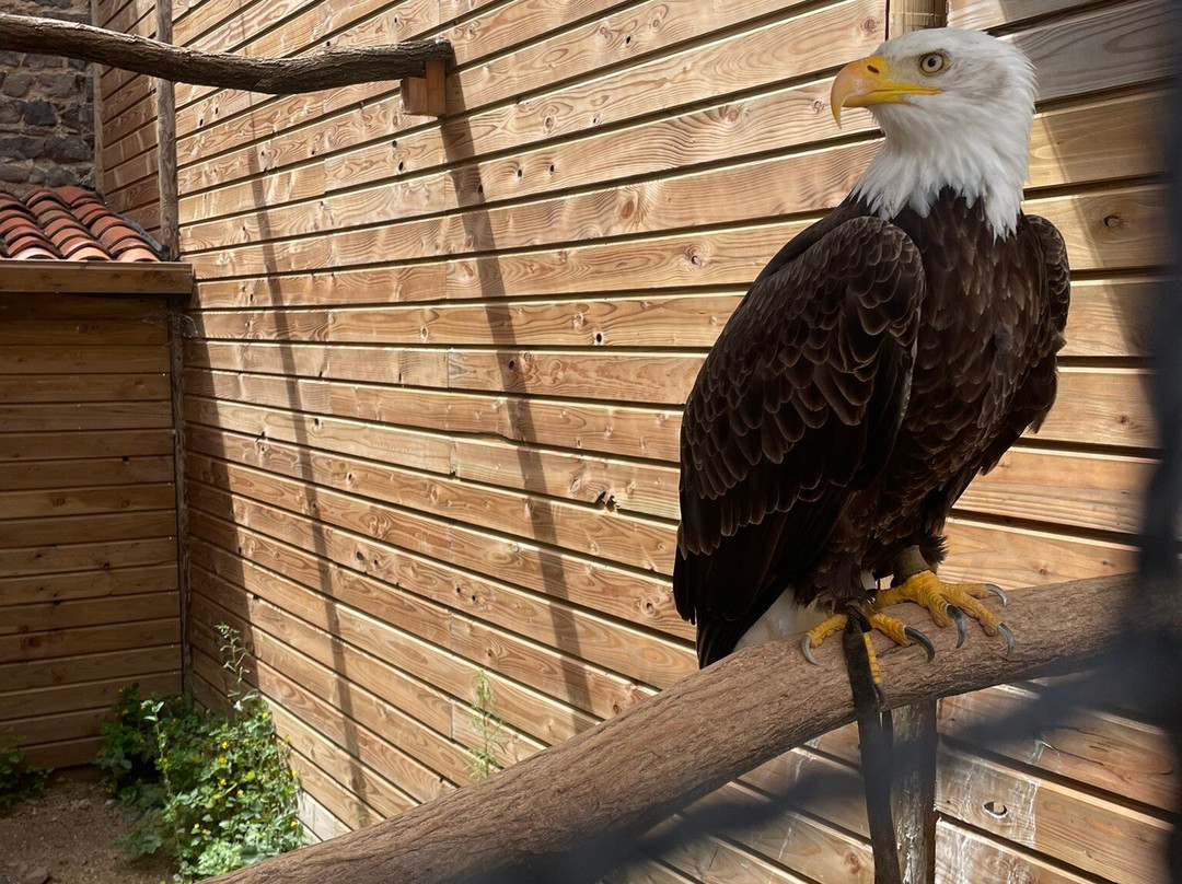 Volerie du Forez-Marcilly-le-Chatel必去景点