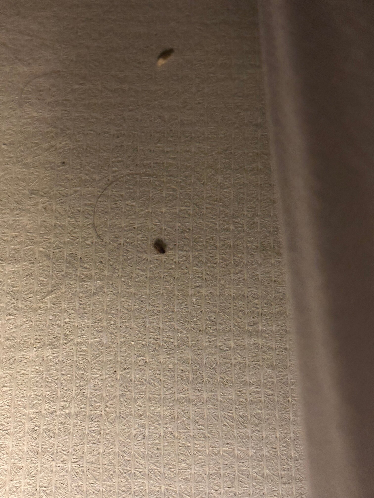 Hampton Inn Lewiston-客卧