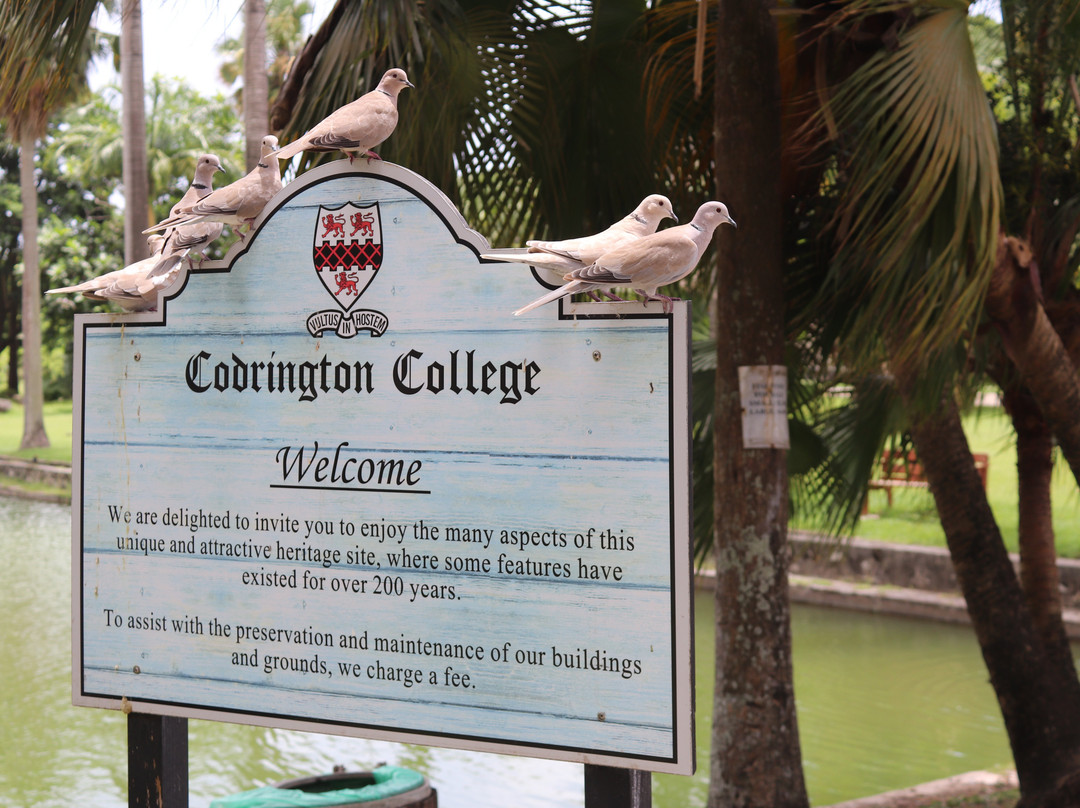 Codrington College-Saint John Parish必去景点