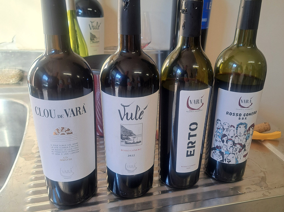 Marco's Way Wine Tours-Ostra必去景点