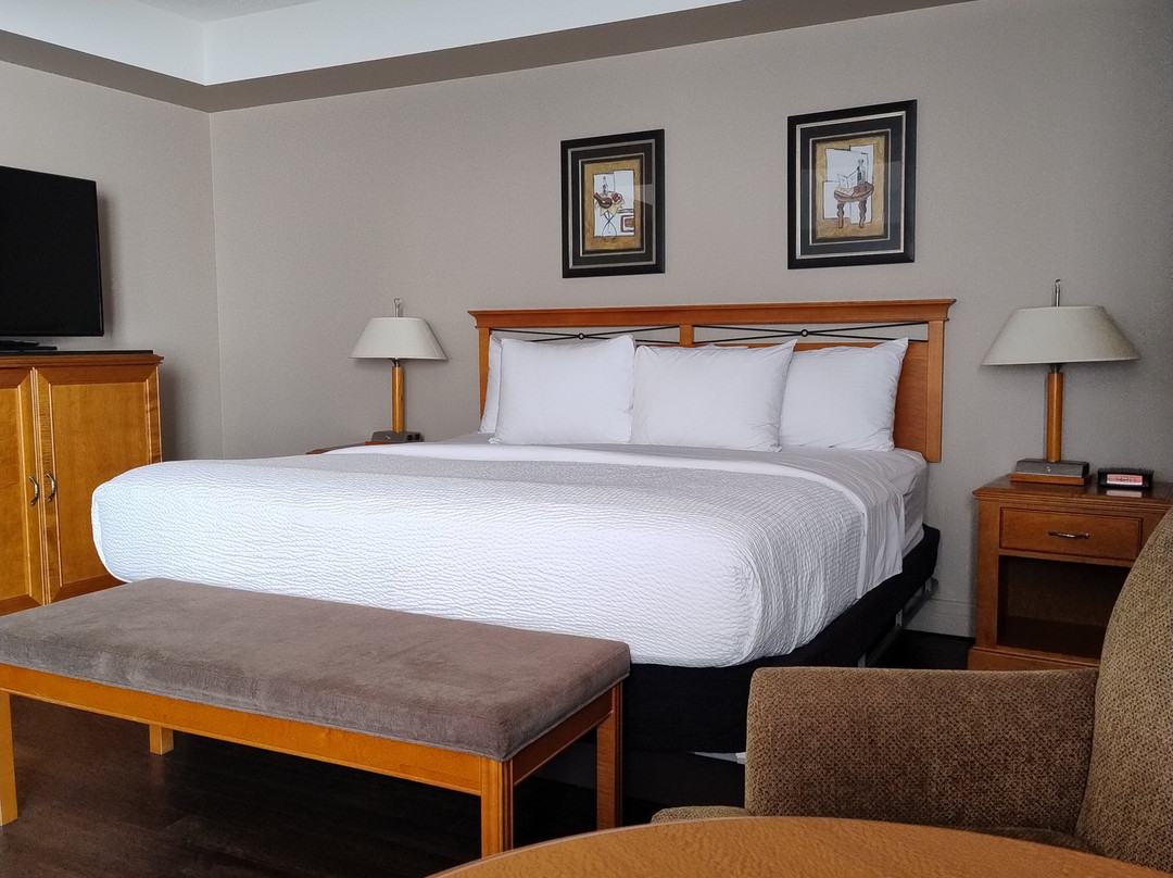 Royal Hotel Edmonton Airport, Trademark Collection by Wyndham主图