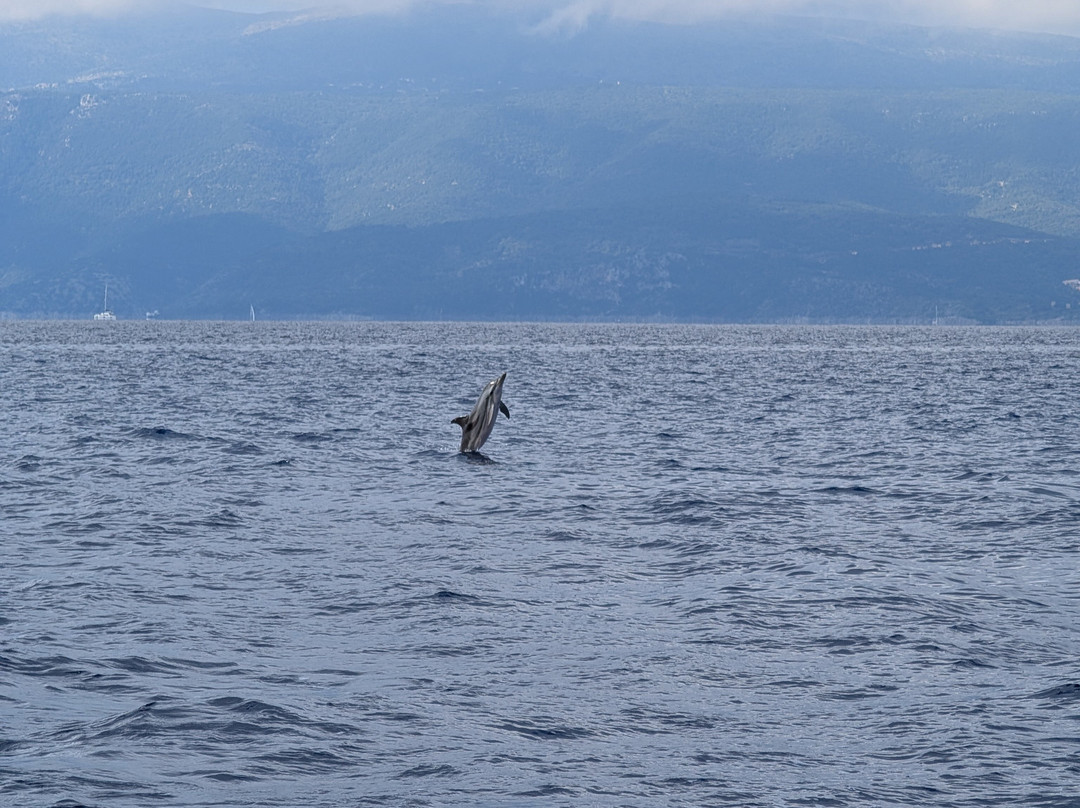 Sail Ionian Yacht Charter-莱夫卡扎必去景点