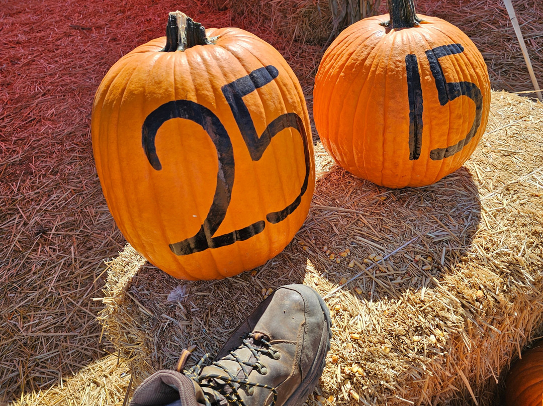 Apple Annie's Orchard-Willcox必去景点