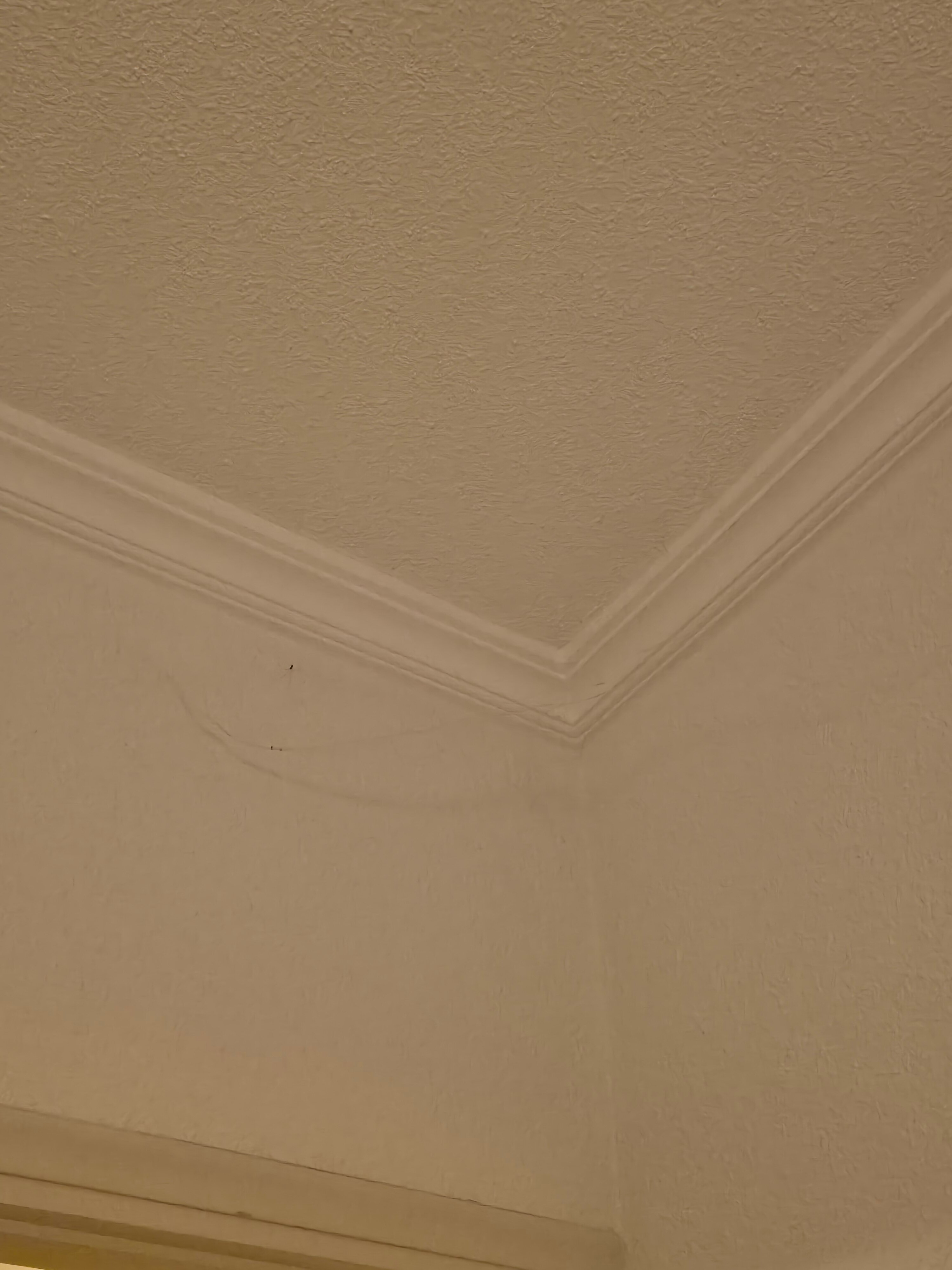 亚特兰蒂斯酒店-官方