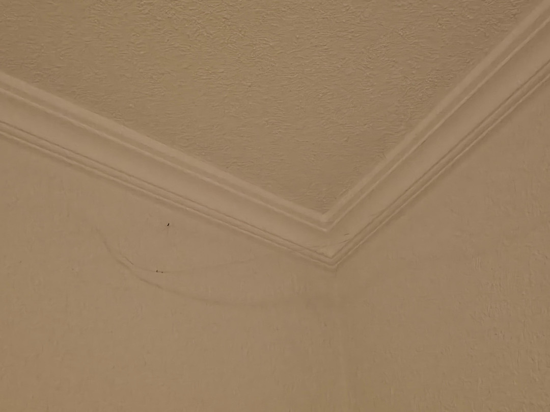 亚特兰蒂斯酒店主图