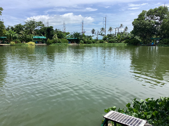 Chalong Fishing Park-拉威必去景点