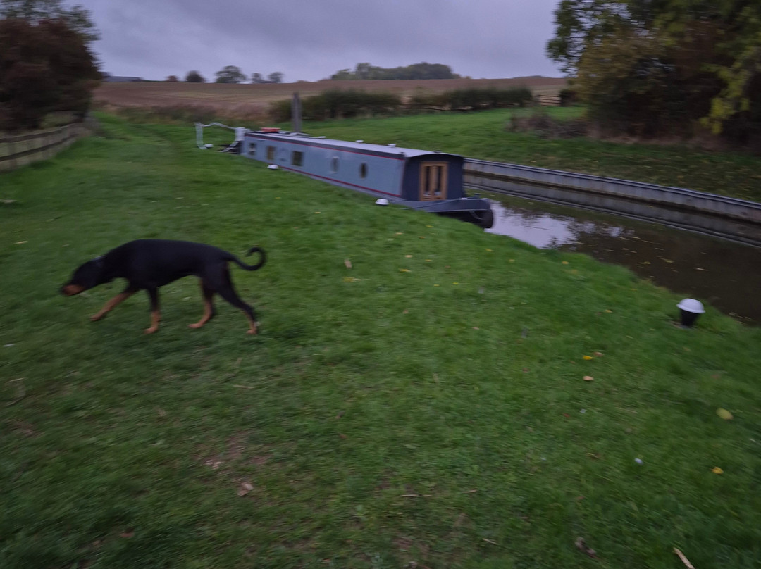 Boutique Narrowboats-马基特哈伯勒必去景点