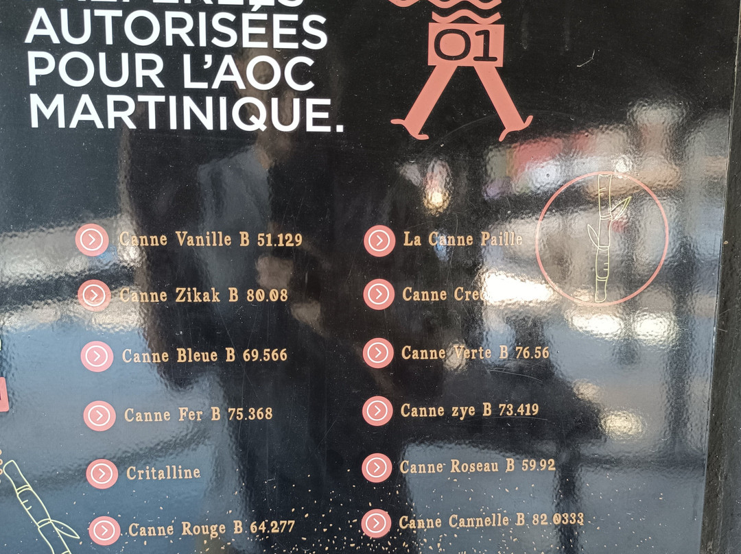 Neisson Distillery (Distillerie Neisson)-马提尼克必去景点