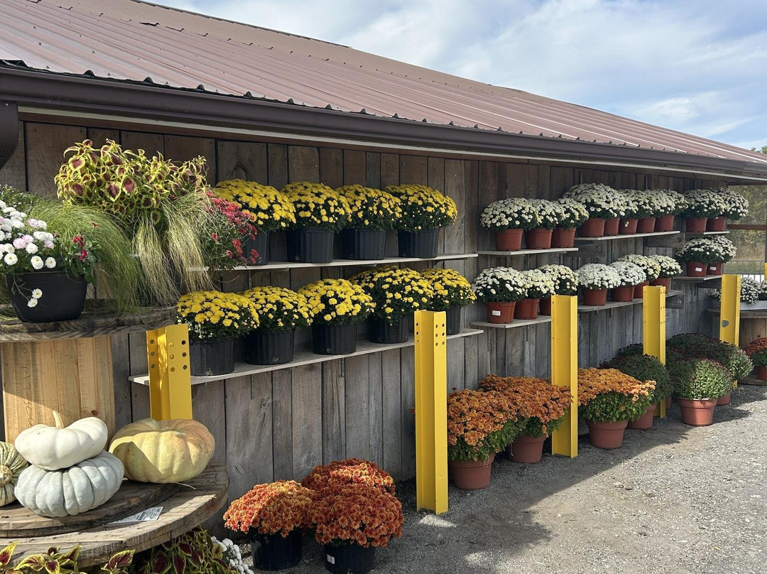 Pumpkins And More Farm Market-Ferdinand必去景点