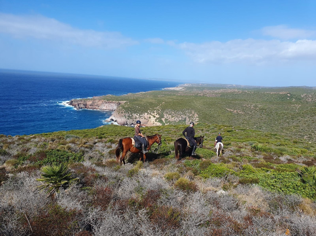 Maneggio Sulcis-San Giovanni Suergiu必去景点