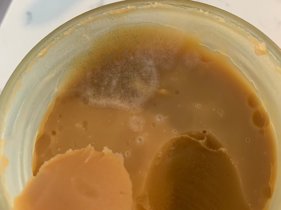 The Margaret River Chocolate Co-Metricup必去景点