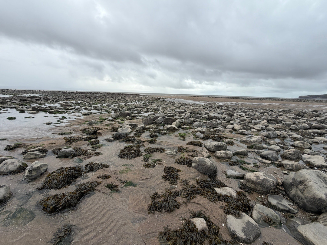Llantwit Major Beach-Llantwit Major必去景点
