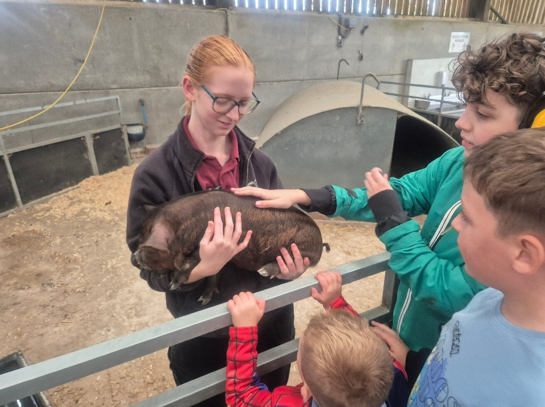 Farmer Palmer's Farm Park-普尔必去景点