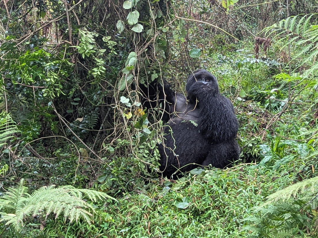 Deks Safaris & Tours Ltd-坎帕拉必去景点