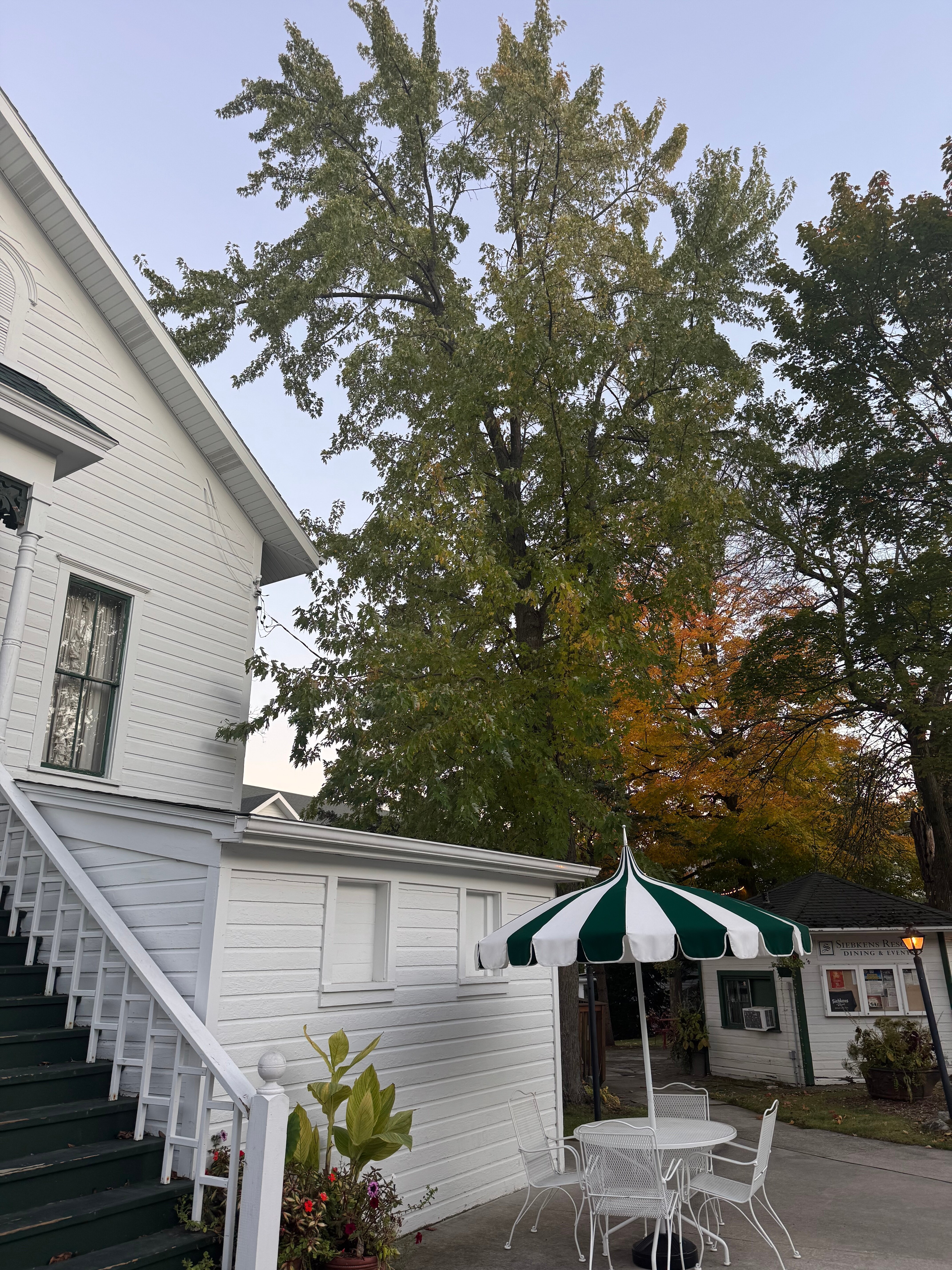 Siebkens Resort-官方