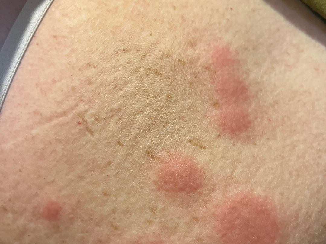 Hotel Termes La Garriga主图