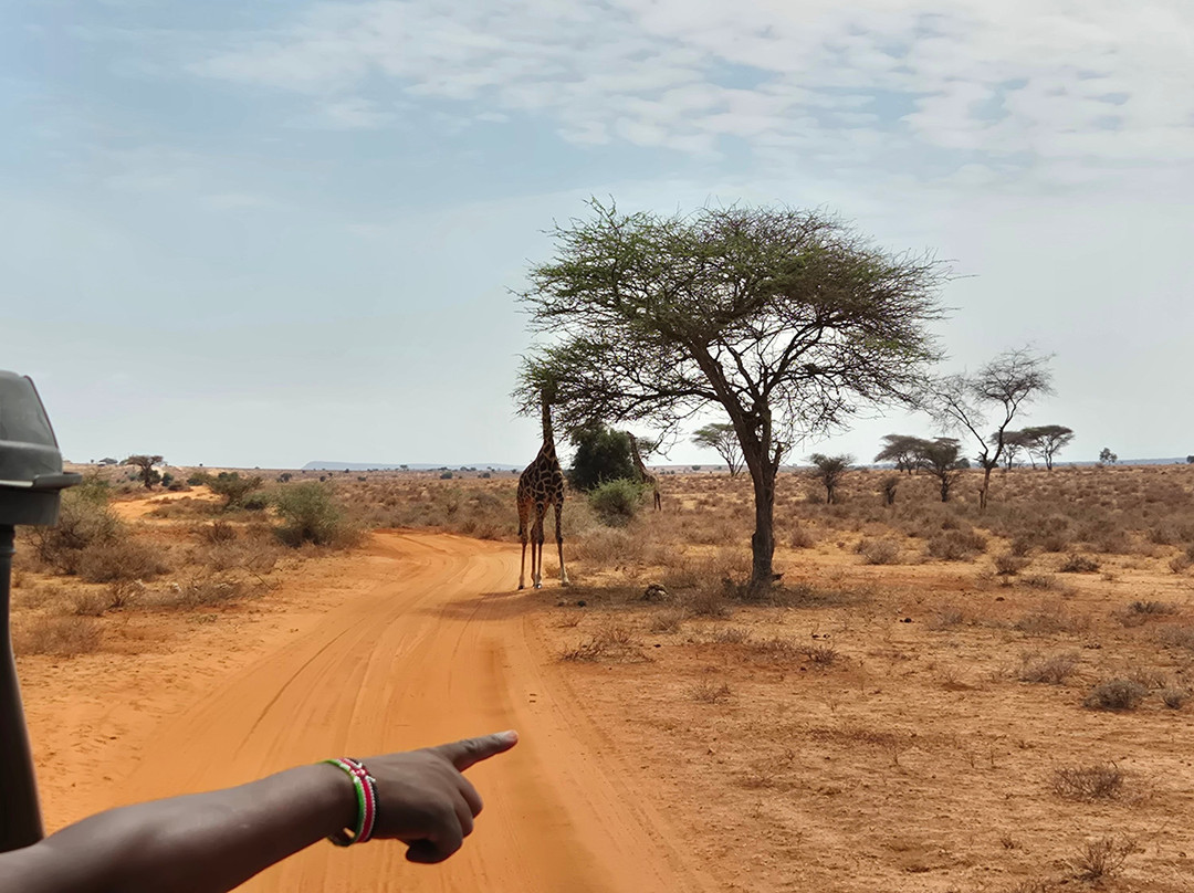 Antonio Safaris-Karen必去景点