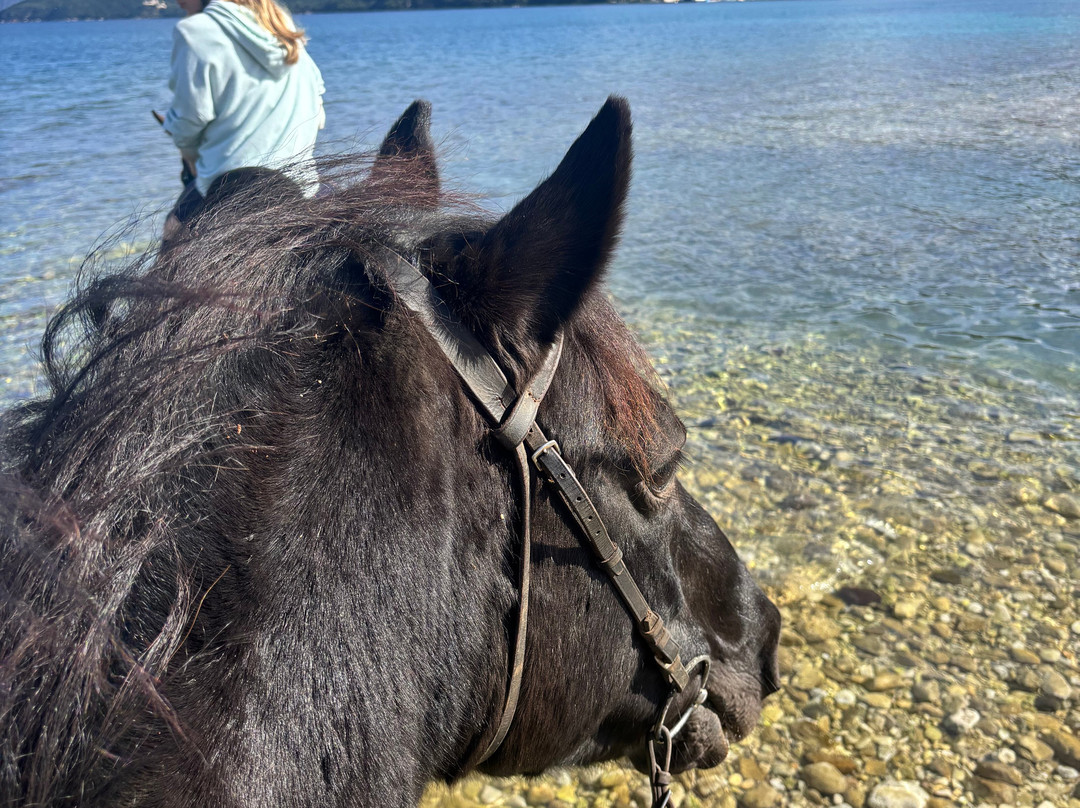 Kefalonia's Horse Riding Stable-萨米必去景点