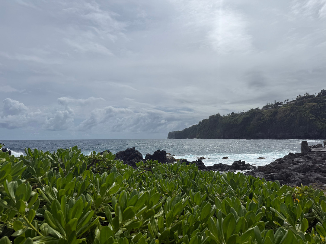 Liquid Cosmos Divers-卡威哈也必去景点