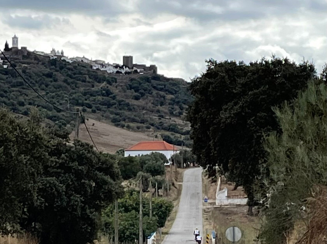 Portugal Best Cycling-埃武拉必去景点