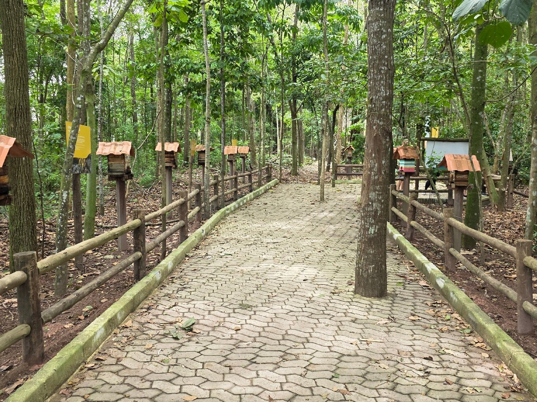 Parque Botânico Vale-维多利亚必去景点