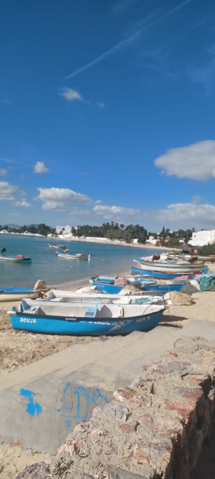 Cap Bon Kelibia Beach Hotel & Spa-官方