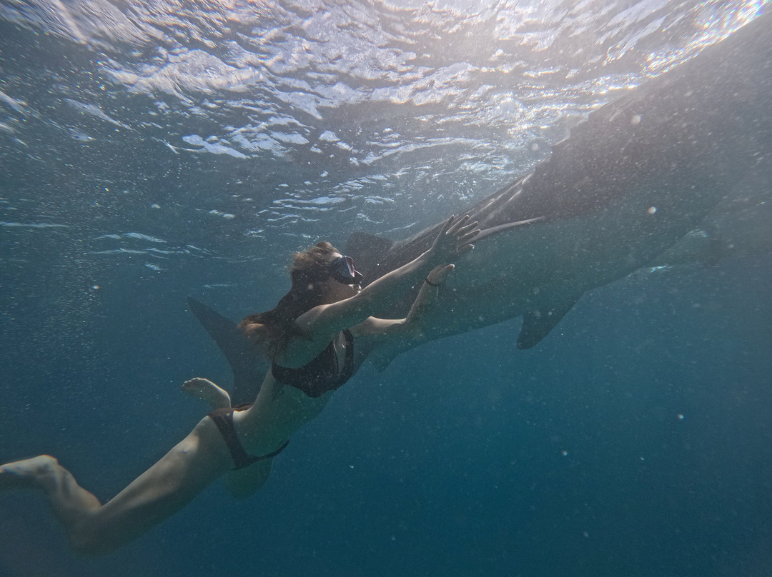 Island Trek Tours-奥斯洛布必去景点